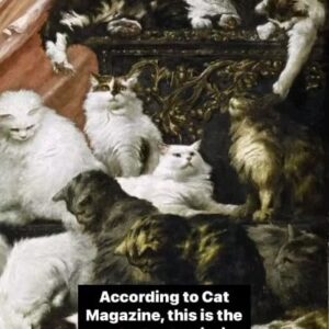 Jennifer Lyons Instagram - This makes 5 look like nothing!
.
.
.
.
.

#cats ##catsofinstagram #love #furrychildren #fur babies