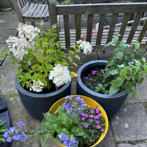 Jenny Beavan Instagram - Who needs foreign holidays when they could be in Peckham! I know I am incredibly lucky to have a lovely garden and it has only taken me 30 years - and the amazing skills of @Gary.Baverstock - to understand it and make it what I wanted, a controlled wild garden! The orchard is excellent this year but it’s hard work keeping up with the fruit and I can’t bear waste … war baby mentality ...

So this is my joy when, and when I am not, working. Incredibly therapeutic when working. I get my best ideas when potting, weeding or chopping up apples! Note to all aspirant costume designers - if you feel stuck but have done good groundwork on a project it will be embedded in your mind so go out, have fun, do something different and the ideas will come!