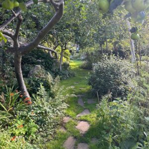 Jenny Beavan Instagram - Who needs foreign holidays when they could be in Peckham! I know I am incredibly lucky to have a lovely garden and it has only taken me 30 years - and the amazing skills of @Gary.Baverstock - to understand it and make it what I wanted, a controlled wild garden! The orchard is excellent this year but it’s hard work keeping up with the fruit and I can’t bear waste … war baby mentality ...

So this is my joy when, and when I am not, working. Incredibly therapeutic when working. I get my best ideas when potting, weeding or chopping up apples! Note to all aspirant costume designers - if you feel stuck but have done good groundwork on a project it will be embedded in your mind so go out, have fun, do something different and the ideas will come!