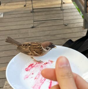 Jeon Hye-yeon Instagram - 힐링데이🍦🌱🐤