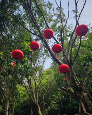 Jeon Su-kyung Instagram - 아름다웠던 4월의 #다낭
#다낭인터컨티넨탈썬페닌슐라
#intercontinentalsunpeninsuladanang
#친구들과의여행 
#우리아직괜찮아
친절한 직원분이 찍어준 사진들
#잊지않을게요❤️