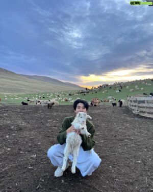 Jeong Dong-won Instagram - ❤️🐑