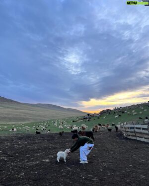 Jeong Dong-won Instagram - ❤️🐑