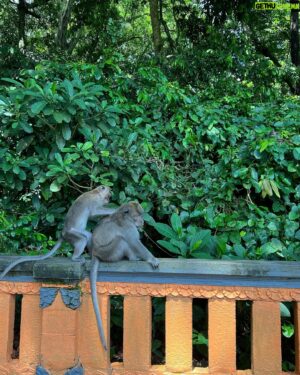 Jeong Dong-won Instagram - 지구탐구생활 6화 ❤️in 인도네시아
I LOVE YOU MONKEY