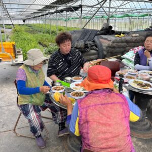 Jeong Jun-ha Instagram - 아주~~기냥!!쥑여부네~~여러분!!!이 세상에서 젤루 맛있는 왕 블루벨리 드셔~~~여기는 전남 장흥이랑께!!!!유튜브#정준하하하 에서 오늘 저녁 6시 대공개!!!기대하시랑께!!@blueone_korea