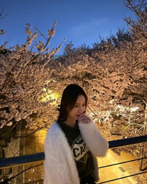 Jeong Seo-ha Instagram - #봄밤 
너무 아름다웠던 날들 🌸 

#cherryblossom 🤍
