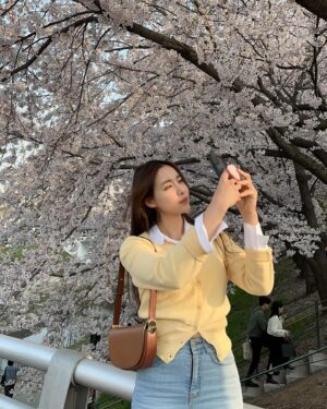 Jeong Seo-ha Instagram - 봄. 
너무 예쁜 벚꽃🌸 

#blossom 
#cherryblossom
