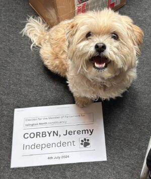 Jeremy Corbyn Instagram - Thanks for your vote Teddy! 

As your independent candidate, I will stand up for your rights and defend the welfare of all animals and pets.

Join us* at www.votecorbyn.com/events (link in bio)

*cats are welcome too!