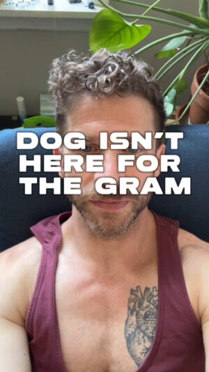 Jeremy Crittenden Instagram - Once he hears about the likes he’ll be into it. 

I love how Boris is already cooler than me. He’s two.
.
.
.
#gay #gayswithdogs #pitmix #gayguy #dogsofnyc #gayswithtattoos #comedy #standupcomedian