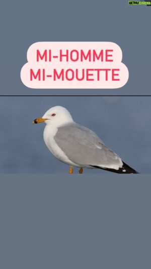 Jérémy Demay Instagram - Officiellement le rire le plus communicatif sur terre, merci ❤️