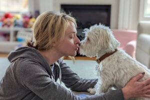 Jeremy Jordan Instagram - I debated posting about this, but i really miss my puppy today.

A few weeks ago, we lost our sweet Riley. For nearly 12 years, she filled our home and hearts with love and companionship. It was sudden and unexpected and we were not ready.

Riley loved all humans (and some dogs) and she was one of the most expressive dogs I've ever met. I made myself a pb&j the other day and there was nobody there to lick up the stray peanut butter. There's a massive empty hole in our home.

So I'm sharing her here with you all. If you met her, you loved her, and if you didn't, you sure as hell would have. We love you, Riley Bear.