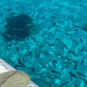 Jérémy Samat Instagram - Journée bateau à l’île de Riou, un bonheur total dans une eau translucide 🐠
