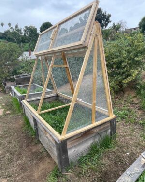 Jerrika Hinton Instagram - A hands-on season of loving kindness because, “Joy is not made to be a crumb.” So sayeth Mary Oliver. 💗💐

(Thanks to the fam for helping build the garden cage 🥰)