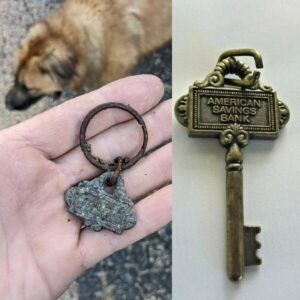 Jerry O'Connell Instagram - Found this broken key on dog walk and then found it new on the internet.  About to call @amnh because I am basically Indiana Jones!