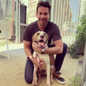 Jerry Trainor Instagram - Bruce had been at the shelter since December! It’s a jailbreak. Fostering this big teddy bear for #4daysforlife. Special thanks to all the volunteers at @apurposefulrescue and @northcentralshelter and @bigpantsmiller  for the back up!