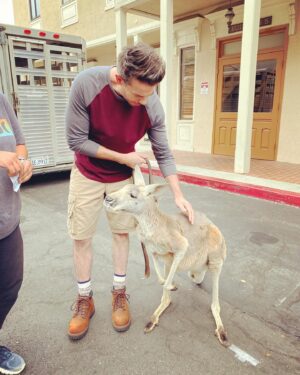 Jerry Trainor Instagram - My quest to work with exotic animals continues. His name is Tucker. Tucker is a real diva on set.