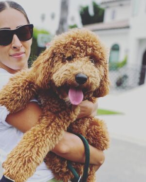 Jeslyn Gorman Instagram - Avo masks, pup cuddles, hikes on the daily and supporting small/black owned businesses... What’s your summer lookin like?
•
Check out @houseofbrian for fun graphic tees of his photography and @henrymasks for really cool stylish masks!
•
Also - how is @piecesofreesethedood this big?! 9 months old on Friday!
•
📸: @jestina.odell ...duh