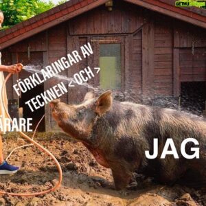 Jesper Rönndahl Instagram - Tror vi har fått en ny meme-template! Tack @alicebahkuhnke !