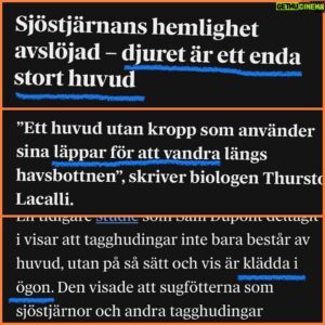 Jesper Rönndahl Instagram - Ibland kan jag sakna Institutet i P3 så man har tid att gotta sig i sånt här en kvart-tjugo