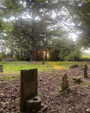 Jess Impiazzi Instagram - Paranormal investigation 👻 at the Leavesden Asylum hospitals - East Lane cemetery. 
Definitely creepy, definitely weird, definitely can’t explain it! (you can see the footage soon on @adam_psychic_medium channel) 
Although I was scared, I couldn’t help but notice the beauty of this place and took these pictures before dark.
A few locals spoke with us before the sun went down to tell us about the burial ground and it’s got quite the history! 
The asylum opened in 1868 and didn’t close until 1995, with cholera outbreaks and so much history! This place was really scary in the dark! #paranormalinvestigation #leavesdenasylumhospital #asylum #ghosthunting 👻 #sleepyhollow