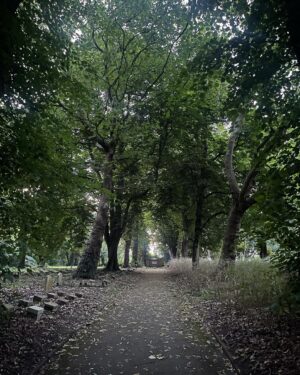 Jess Impiazzi Instagram - Paranormal investigation 👻 at the Leavesden Asylum hospitals - East Lane cemetery. 
Definitely creepy, definitely weird, definitely can’t explain it! (you can see the footage soon on @adam_psychic_medium channel) 
Although I was scared, I couldn’t help but notice the beauty of this place and took these pictures before dark.
A few locals spoke with us before the sun went down to tell us about the burial ground and it’s got quite the history! 
The asylum opened in 1868 and didn’t close until 1995, with cholera outbreaks and so much history! This place was really scary in the dark! #paranormalinvestigation #leavesdenasylumhospital #asylum #ghosthunting 👻 #sleepyhollow