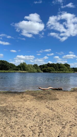 Jess Impiazzi Instagram - Another place I go to just breathe! @nationaltrust 🌱🌲

Thought I’d share the beauty of Frensham Ponds! Fun fact: there been lots of movies and series filmed here! Most recently @witchernetflix 

Happy Thursday folks 🌍🌱🌲#nationaltrust #frenshamponds #nature