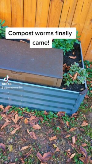 Jessalyn Wanlim Instagram - Can't wait to start #composting ! Thank you @subpod for your help with the garden bed.  I learned digging is not my strength 😜#vermicomposting #subpod #vermicompost