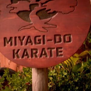 Jesse Kove Instagram - Season 6 @cobrakaiseries the end of a legacy deserves a grand finale, and a legacy you have created. Proud of you dad @martinkove and honored to be part of the journey. It all begins July 18th ! 15 episodes part 1, 2 and 3! 
“you never show the opponent mercy.”