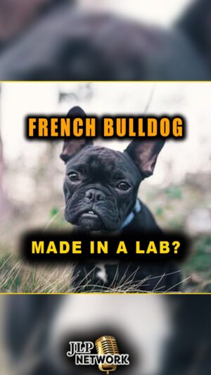 Jesse Lee Peterson Instagram - “Made in a lab” is hilarious but TRUE! This should be animal ABUSE! WHAT DA!