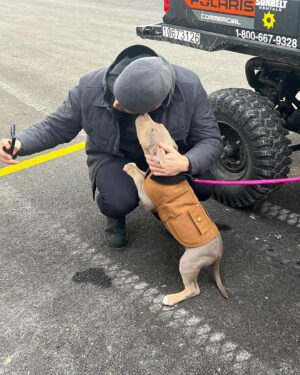 Jesse Lee Soffer Instagram - Made a new friend at work.