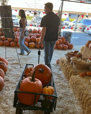 Jesse McCartney Instagram - Never too old for a pumpkin patch 😜🎃 👻