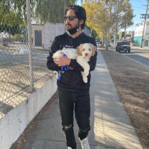 Jesse Rath Instagram - The newest member of the pack. @the.foggy.blues 💙