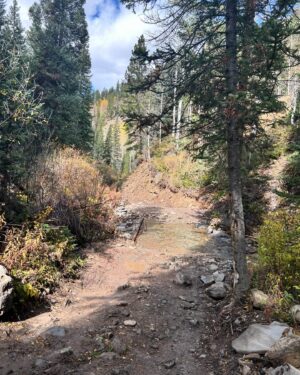 Jessica Fostekew Instagram - If you like watching me so scared I lose my mind and also just two bisexual women being an amazing team and also loads of funny things get said in a mind blowing beautiful part of the world tune into @dave_tvchannel tonight at 8pm

Me and @destheray drive all over Colorado’s Rocky 🏔️ 🏔️ (not a euphemism) on #WorldsMostDangerousRoads