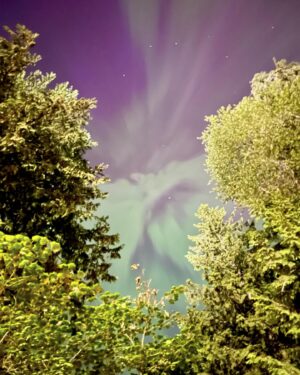 Jessica Frances Dukes Instagram - While #onset shooting a scene from #EarthAbides under the stars surrounded by a #Forrest of beautiful #Trees overlooking the #Water and the #Mountains, #MotherNature decided to show us just how beautiful she is! Up in the #Sky an #auroraborealis appeared and stayed for the remainder of the scene! #Vancouver #Vancity #DreamJob #MotherEarth #NorthernLights #Actresslife #Earthwoman 
(will post photo credit soon, but it’s a surprise) 
#StayTuned