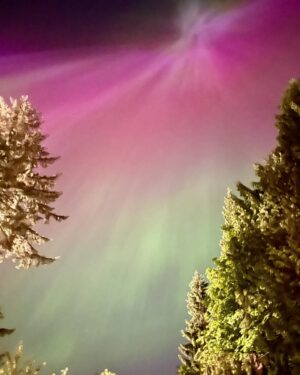 Jessica Frances Dukes Instagram - While #onset shooting a scene from #EarthAbides under the stars surrounded by a #Forrest of beautiful #Trees overlooking the #Water and the #Mountains, #MotherNature decided to show us just how beautiful she is! Up in the #Sky an #auroraborealis appeared and stayed for the remainder of the scene! #Vancouver #Vancity #DreamJob #MotherEarth #NorthernLights #Actresslife #Earthwoman 
(will post photo credit soon, but it’s a surprise) 
#StayTuned