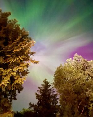 Jessica Frances Dukes Instagram - While #onset shooting a scene from #EarthAbides under the stars surrounded by a #Forrest of beautiful #Trees overlooking the #Water and the #Mountains, #MotherNature decided to show us just how beautiful she is! Up in the #Sky an #auroraborealis appeared and stayed for the remainder of the scene! #Vancouver #Vancity #DreamJob #MotherEarth #NorthernLights #Actresslife #Earthwoman 
(will post photo credit soon, but it’s a surprise) 
#StayTuned