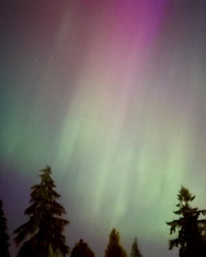 Jessica Frances Dukes Instagram - While #onset shooting a scene from #EarthAbides under the stars surrounded by a #Forrest of beautiful #Trees overlooking the #Water and the #Mountains, #MotherNature decided to show us just how beautiful she is! Up in the #Sky an #auroraborealis appeared and stayed for the remainder of the scene! #Vancouver #Vancity #DreamJob #MotherEarth #NorthernLights #Actresslife #Earthwoman 
(will post photo credit soon, but it’s a surprise) 
#StayTuned