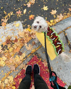 Jessica Garza Instagram - Just a girl and her taco in October 🌮