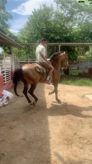 Jessie Vargas Instagram - Having some fun on the saddle 🤠 
Montando este cuaco el día de hoy 🤠 

#Mexico #Maztlan #Sinaloa #Maza #Culiacan #Oyster #WorldTraveler #Latino #Boxeo #Boxing #BoxeoMexicano #LasVegas #Vegas to #Mexico #yacht #YachtLife #Cowboy #Horse #caballoespañol #Cuaco #Rancho #RanchLife #Ranchero