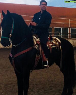 Jessie Vargas Instagram - A hobby that never gets old. 🤠 🐎 
un pasatiempo que siempre se disfruta 🤠 🐎 

#Frison #Friesian #FriesianHorse #SpanishHorse #espanol #caballoEspanol #Boxeo #Boxing #BoxeoMexicano #guadalajara #Mazatlan