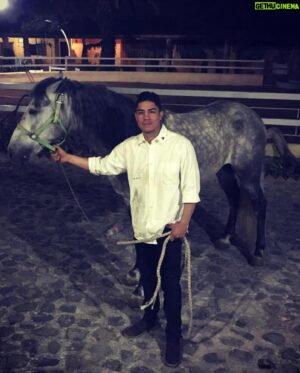 Jessie Vargas Instagram - A hobby that never gets old. 🤠 🐎 
un pasatiempo que siempre se disfruta 🤠 🐎 

#Frison #Friesian #FriesianHorse #SpanishHorse #espanol #caballoEspanol #Boxeo #Boxing #BoxeoMexicano #guadalajara #Mazatlan