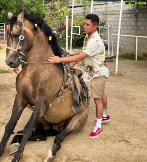 Jessie Vargas Instagram - My time away from the city 🐎 

#horseinstagram #horsepower #horselove
#horselover #lovemyhorse #horselife #horseshow #horserider #horseracing #horseofinstagram
#horselovers#horsebackriding #horsestagram
#horseoftheday #horsegirl #horsemanship
#horseaddict #horsey #horsejumping #horsephoto #Boxing #Boxeo #Mazatlan #horsevideo #HorseLover #Cowboy #español #Gentleman #Caballos #Caballo