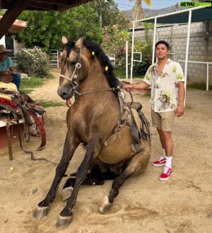 Jessie Vargas Instagram - My time away from the city 🐎 

#horseinstagram #horsepower #horselove
#horselover #lovemyhorse #horselife #horseshow #horserider #horseracing #horseofinstagram
#horselovers#horsebackriding #horsestagram
#horseoftheday #horsegirl #horsemanship
#horseaddict #horsey #horsejumping #horsephoto #Boxing #Boxeo #Mazatlan #horsevideo #HorseLover #Cowboy #español #Gentleman #Caballos #Caballo