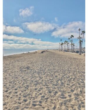 Jessika Van Instagram - #lonely #bird •
•
•
•
•

#📷 #1 by @mellylee_ 
#beach photos by me 🐥