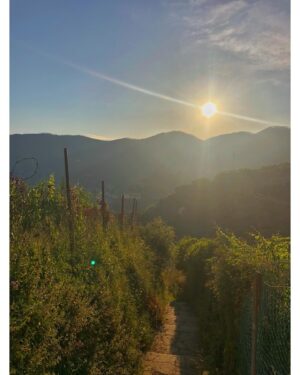 Jessika Van Instagram - traipsing through the eu & everything is so beautiful 😱 
but gotta be comfy yknow #priorities .
.
.
.
.

#naturelovers #beautiful #italia #travels