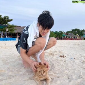 Jetsadakorn Bundit Instagram - แมวน้อยยยย 🐱
