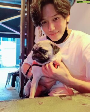 Ji Il-ju Instagram - 코코야, 카메라 좀 봐주지 않으련..?
#쿠데타