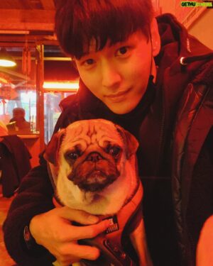 Ji Il-ju Instagram - 사진 찍기 싫은 코코...;;