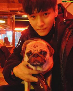 Ji Il-ju Instagram - 사진 찍기 싫은 코코...;;