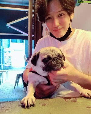 Ji Il-ju Instagram - 코코야, 카메라 좀 봐주지 않으련..?
#쿠데타
